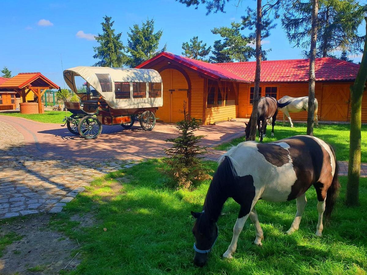Osrodek Agroturystyczny Zacisze Villa Giewartów Eksteriør billede